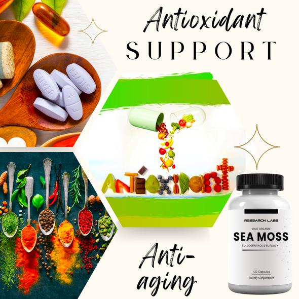 Research Labs 2 For 1 Ad Organic Irish Sea Moss Capsules, Raw Wildcrafted Seamoss Enhanced w/Bladderwrack & Burdock Root 240 Total Pills Antioxidant Powerhouse. Thyroid Support