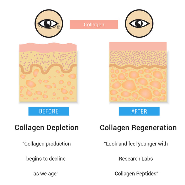 Collagen Peptides by Research Labs | Fat Burning | Combat Aging | 2 for 1 Promo | Buy One Get One Free